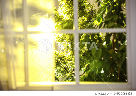 Beautiful view through window on garden in morning Beautiful view through window on garden in morning 94055332