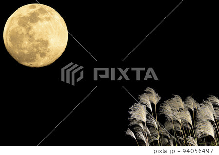秋、お月見のイメージ。中秋の名月とススキ。 94056497