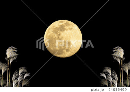 秋、お月見のイメージ。中秋の名月とススキ。 94056499
