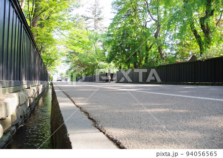 秋田の風景　新緑の角館の武家屋敷通りの水路 94056565