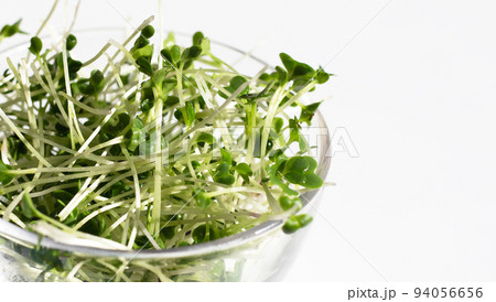 Organic kale sprouts on white background. 94056656