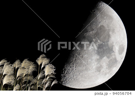 秋のイメージ。ススキと上弦の月。 94056704