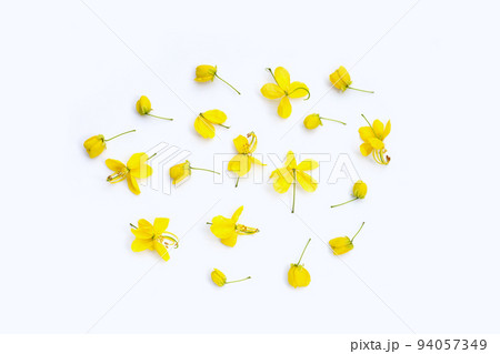 Cassia fistula flower on white background. 94057349