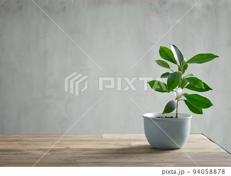 flowerpot on wooden table 94058878