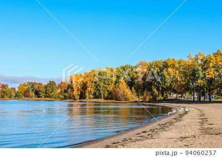 Autumn landscape in city park. Light fog on river in morning. Orange trees on river bank reflected in water. Seagulls on the beach 94060257