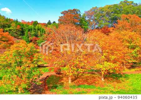 紅葉の七ツ森立輪水辺公園 94060435