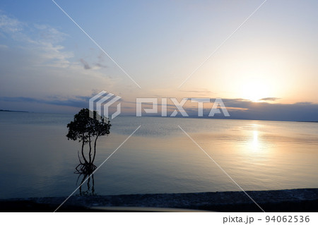 夕日とマングローブ 94062536