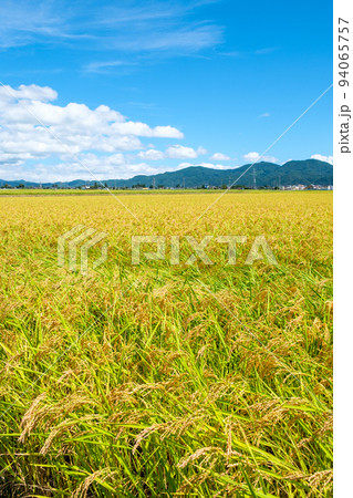 秋の田園風景 94065757