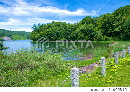 玉原湖 玉原ダム 湖畔の風景 初夏の季節 玉原湖 玉原ダム 湖畔の風景 初夏の季節 94066316
