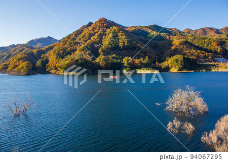 群馬の新紅葉名所 八ッ場あがつま湖(八ッ場ダム) 水没林と水陸両用バス 群馬の新紅葉名所 八ッ場あがつま湖(八ッ場ダム) 水没林と水陸両用バス 94067295