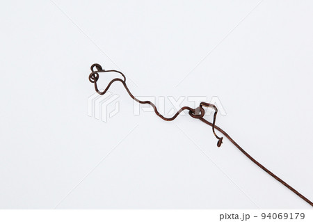 枯れたつる草が、なんとも不思議な造形美を残していってくれた・生命の不思議に感謝 ! 枯れたつる草が、なんとも不思議な造形美を残していってくれた・生命の不思議に感謝 ! 94069179