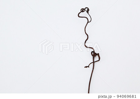 枯れたつる草が、なんとも不思議な造形美を残していってくれた・生命の不思議に感謝 ! 94069681