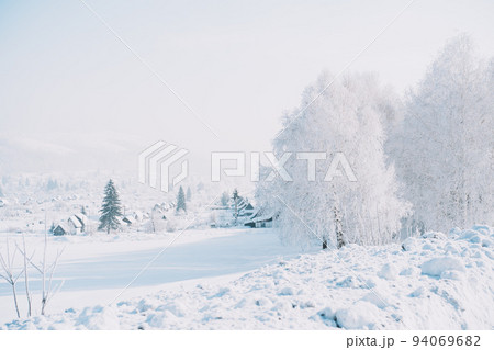 Trees covered with frost in front of a snowy field and houses 94069682