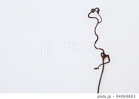 枯れたつる草が、なんとも不思議な造形美を残していってくれた・生命の不思議に感謝 ! 枯れたつる草が、なんとも不思議な造形美を残していってくれた・生命の不思議に感謝 ! 94069683