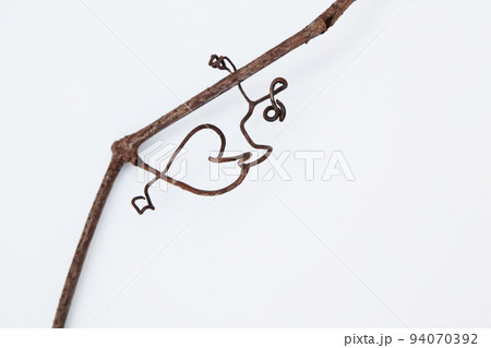 枯れたつる草が、なんとも不思議な造形美を残していってくれた・生命の不思議に感謝 ! 94070392