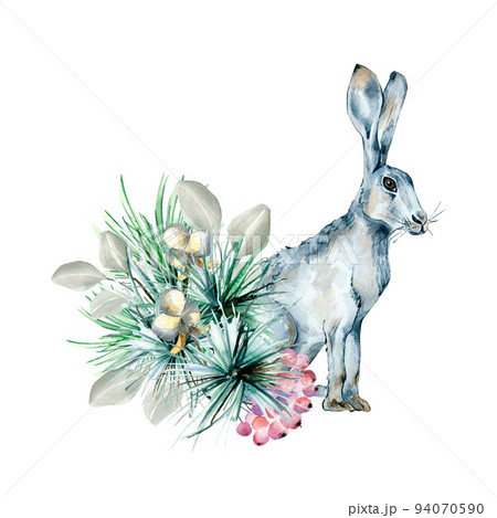 Christmas composition of coniferous and hare watercolor illustration isolated on white Christmas composition of coniferous and hare watercolor illustration isolated on white 94070590