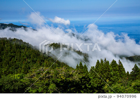 【新潟県･佐渡】大佐渡石名天然杉・展望台からの眺望 6月 94070996