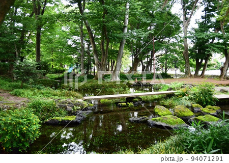 静岡県三島市 白滝公園水辺の散策路と新緑 静岡県三島市 白滝公園水辺の散策路と新緑 94071291