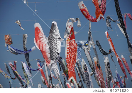 高槻の芥川堤公園のこいのぼりフェスタ 高槻の芥川堤公園のこいのぼりフェスタ 94071820