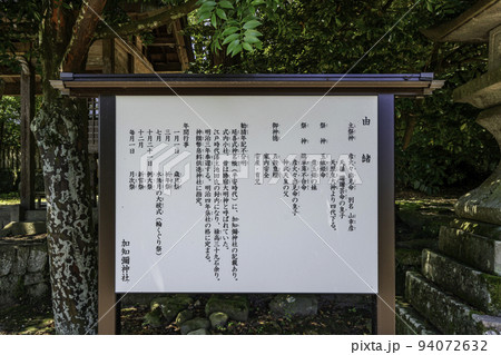 鹿野　加知弥神社　由緒書　鳥取県鳥取市 94072632