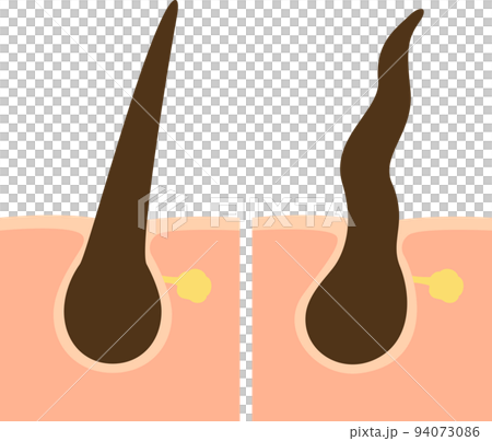 直發和捲髮的插圖 94073086