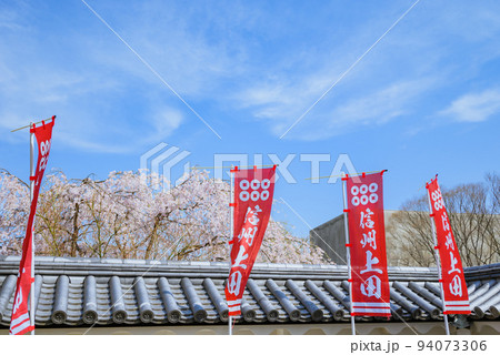 東虎口櫓門と北櫓を繋ぐ通路の景色【春の上田城跡公園】 東虎口櫓門と北櫓を繋ぐ通路の景色【春の上田城跡公園】 94073306