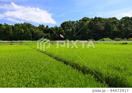 中荻野の田園風景 厚木に残る原風景 中荻野の田園風景 厚木に残る原風景 94073917