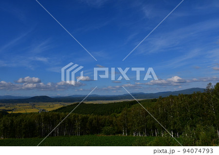 トトロ峠展望台 トトロ峠展望台 94074793