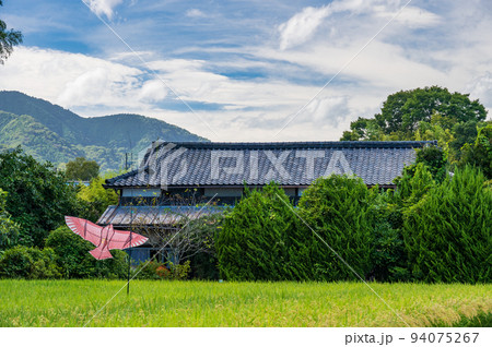 上荻野の原風景 初秋の田んぼ景色 上荻野の原風景 初秋の田んぼ景色 94075267