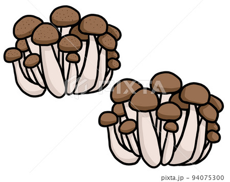 ぶなしめじのイラスト 94075300