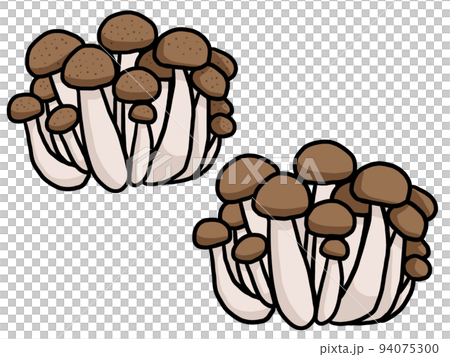 ぶなしめじのイラスト 94075300