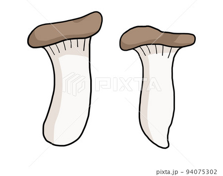 エリンギのイラスト 94075302
