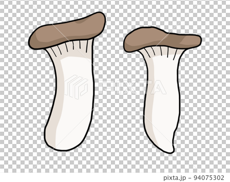 エリンギのイラスト 94075302