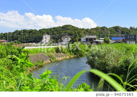 荻野川の風景　緑豊かな景色 94075365