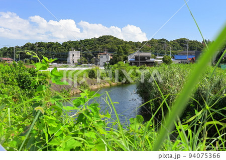 荻野川の風景　緑豊かな景色 94075366