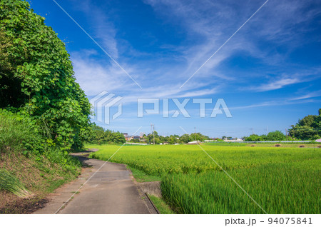中荻野の田園を通る道 厚木に残る原風景 中荻野の田園を通る道 厚木に残る原風景 94075841