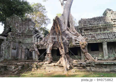 アンコール遺跡 プリア・カンのガジュマルと回廊 アンコール遺跡 プリア・カンのガジュマルと回廊 94075862