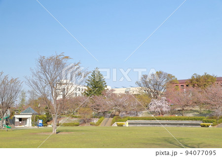 春の公園（城山公園　長野県 長野市） 94077095