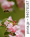 ピンクの花の蜜を吸うミツバチ 94078187