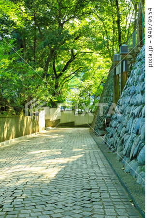 深大寺の参道　東京都調布市 94079554