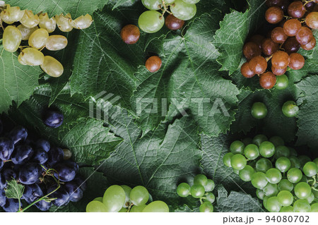 Colorful of the various grape varieties is the product of agriculture. Organic cosmetics with grape seed oil and herbal ingredients. Skincare cosmetic 94080702
