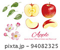カットされた食べ頃のりんごとリンゴの花の水彩画素材 94082325