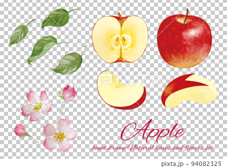 カットされた食べ頃のりんごとリンゴの花の水彩画素材 94082325
