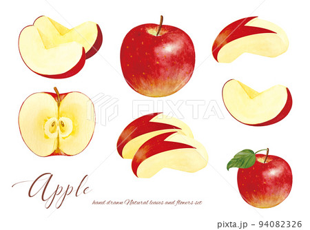 カットされた食べ頃のりんごの水彩画素材のイラスト素材 [94082326