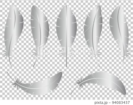 羽毛材料 7 種類型 銀 94083437
