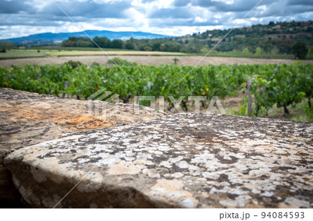 Beautiful vineyard landscape in France 94084593