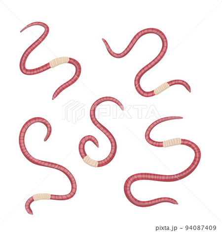 Set of earthworms. Crawling insects. Pink worm. Set of earthworms. Crawling insects. Pink worm. 94087409