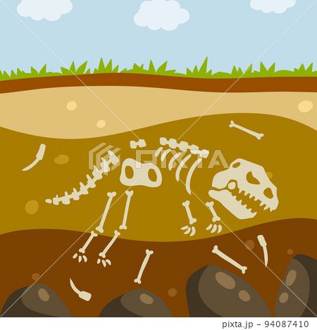 Dinosaur skeleton. Bones of a lizard. Dinosaur skeleton. Bones of a lizard. 94087410