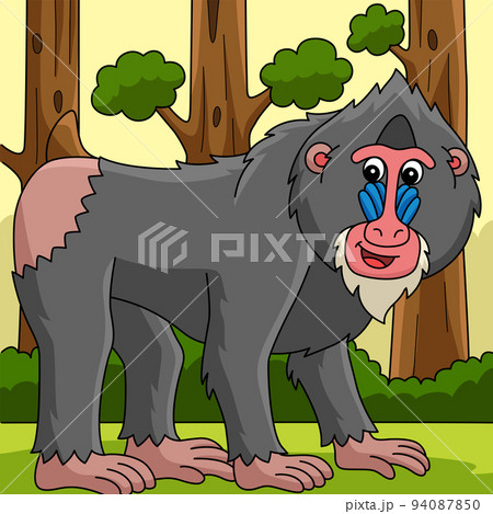 Mandrill Animal Colored Cartoon Illustrationのイラスト素材