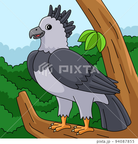 Harpy Eagle Animal Colored Cartoon Illustration 94087855